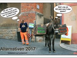 Bärbel Schubert  "Alternativen"